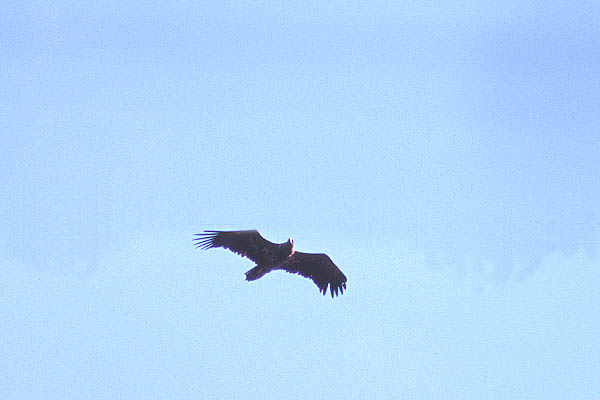 e0000968_17593214.jpg