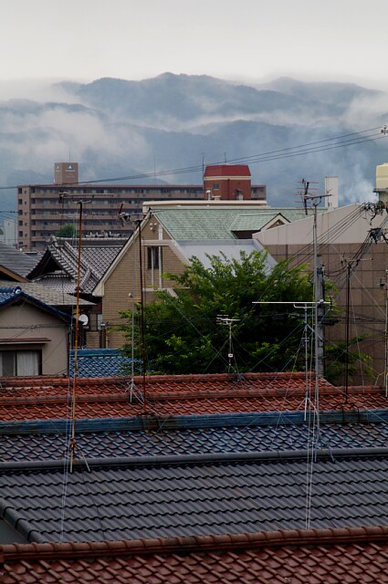 a0056769_222563.jpg