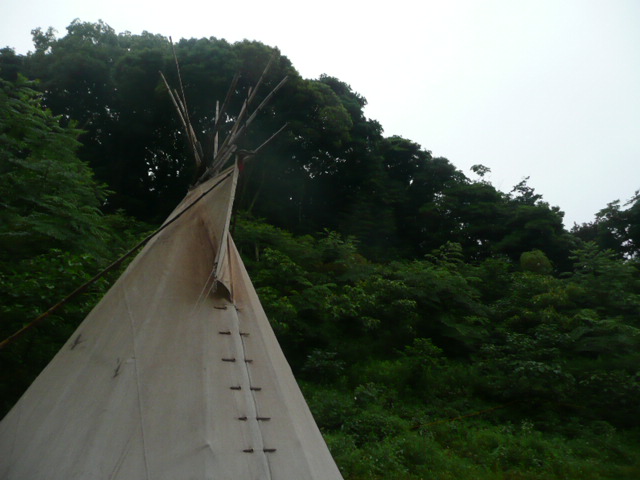a0154870_0413764.jpg