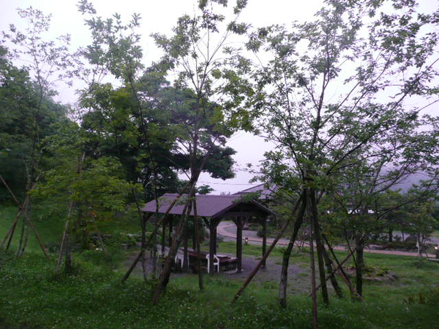 a0154870_047591.jpg