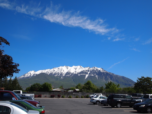 e0169470_538372.jpg