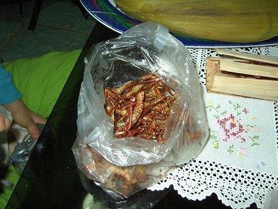 d0144077_3113325.jpg