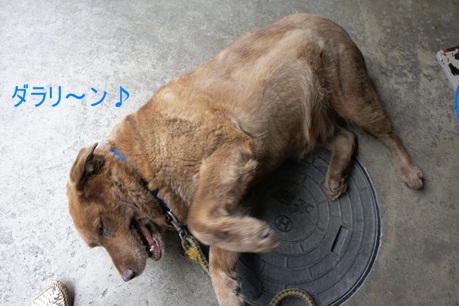 c0163878_1051048.jpg