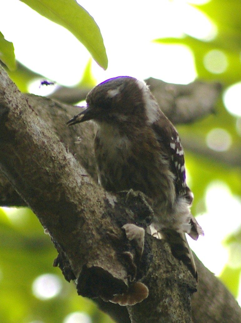 e0197884_19164682.jpg