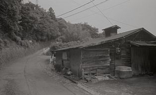 d0145790_82403.jpg
