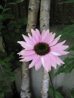 c0152002_10143548.jpg