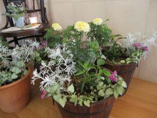 c0152002_1062949.jpg