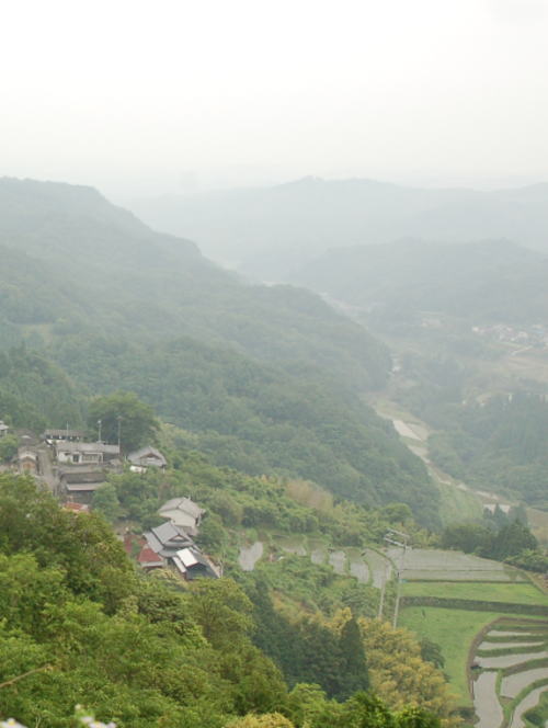 a0031005_1352258.jpg