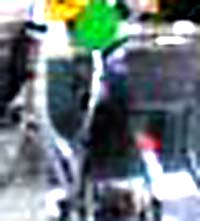e0103408_15123699.jpg