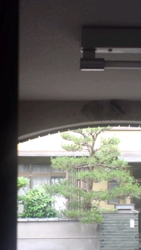 b0210710_1451580.jpg