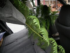 c0190010_20513413.jpg