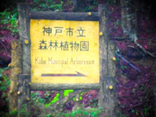 b0183911_22232796.jpg