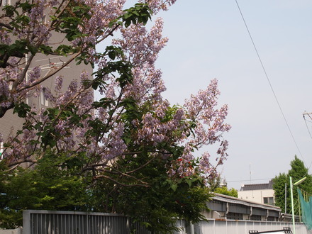 c0172620_12424099.jpg