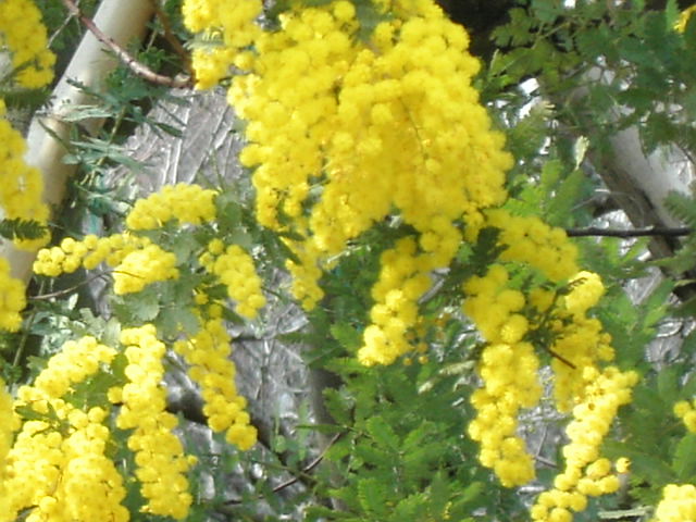 c0172620_12512676.jpg