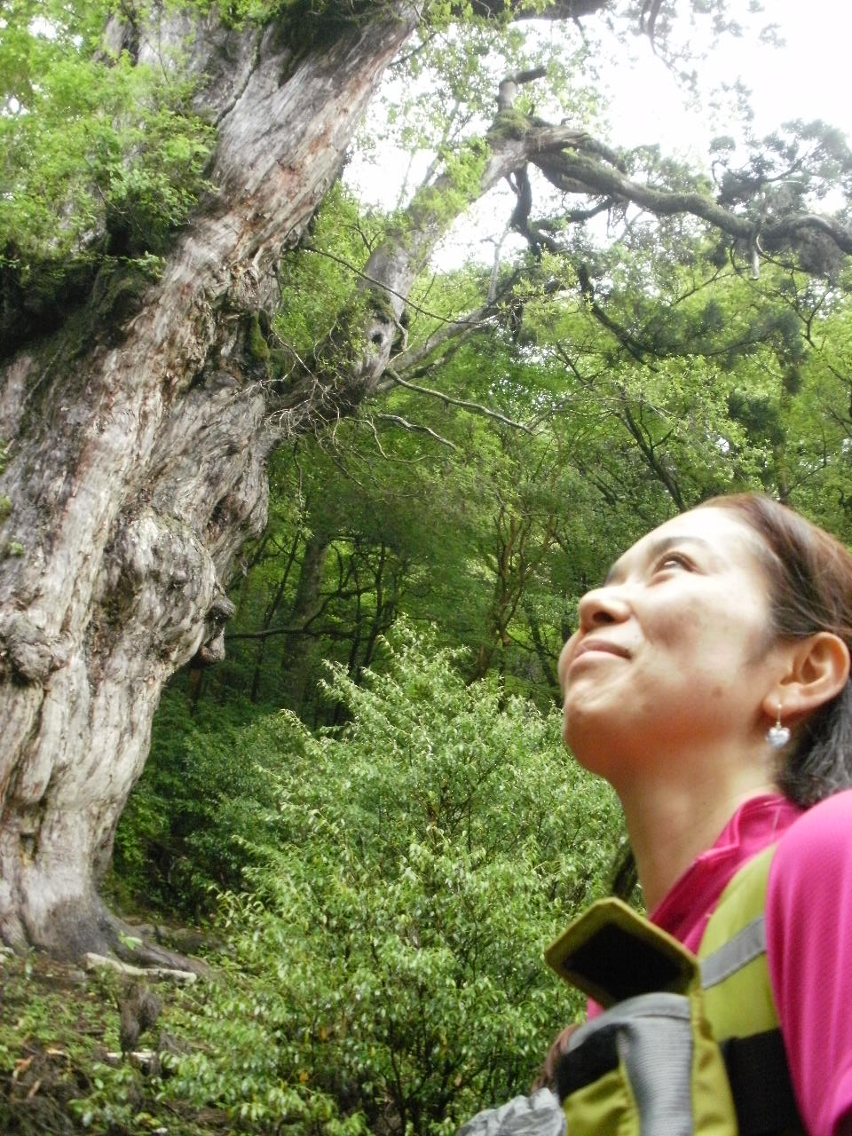 f0095325_20395623.jpg