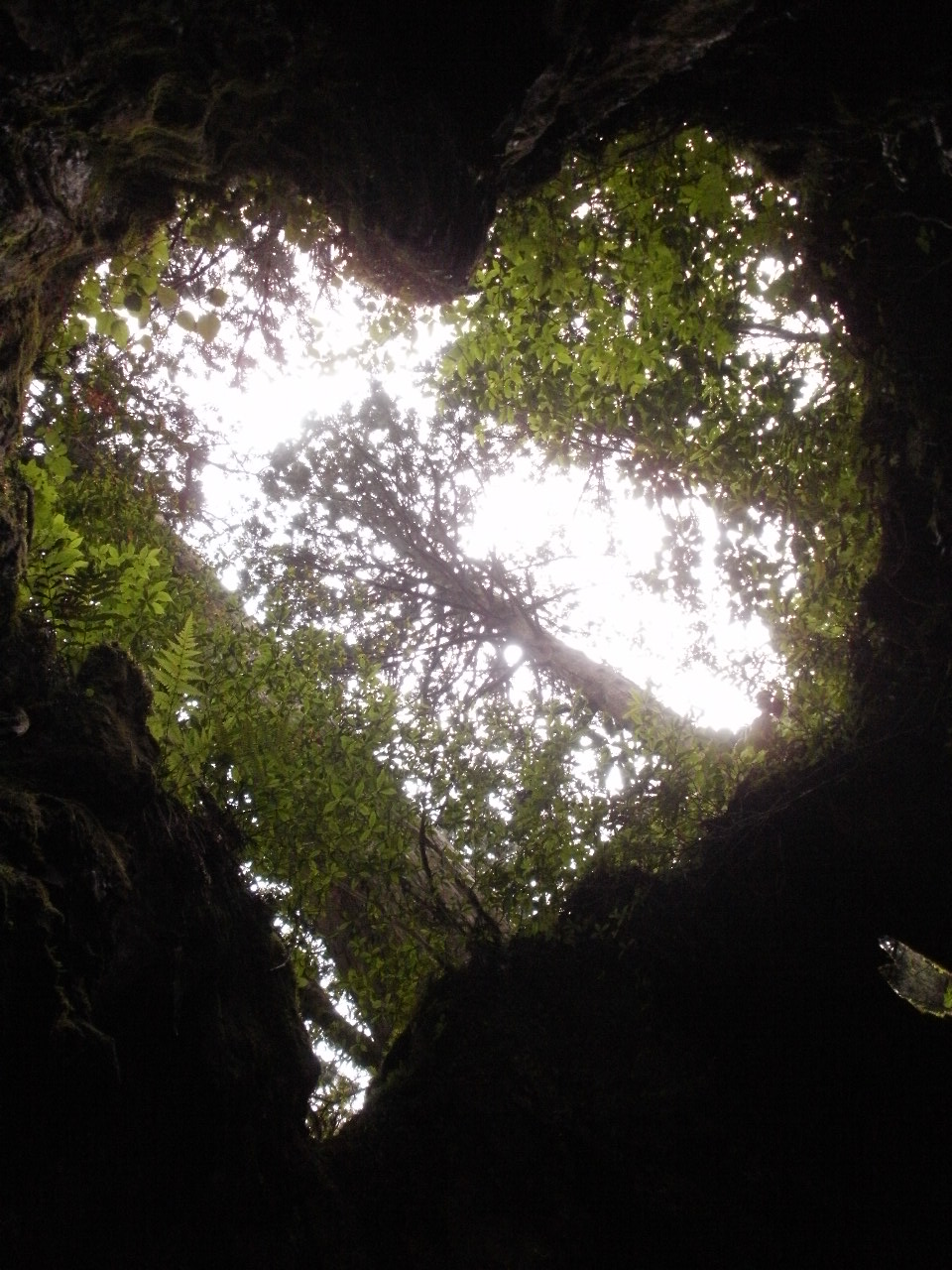f0095325_20402873.jpg