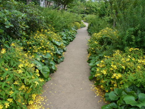 f0108825_1836777.jpg