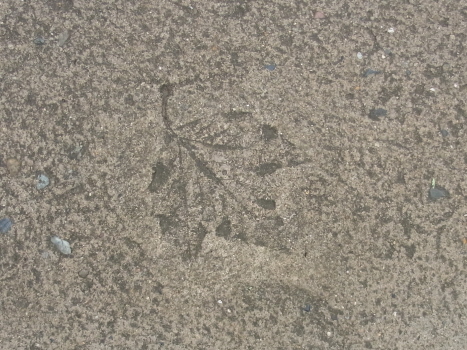 f0108825_18374157.jpg
