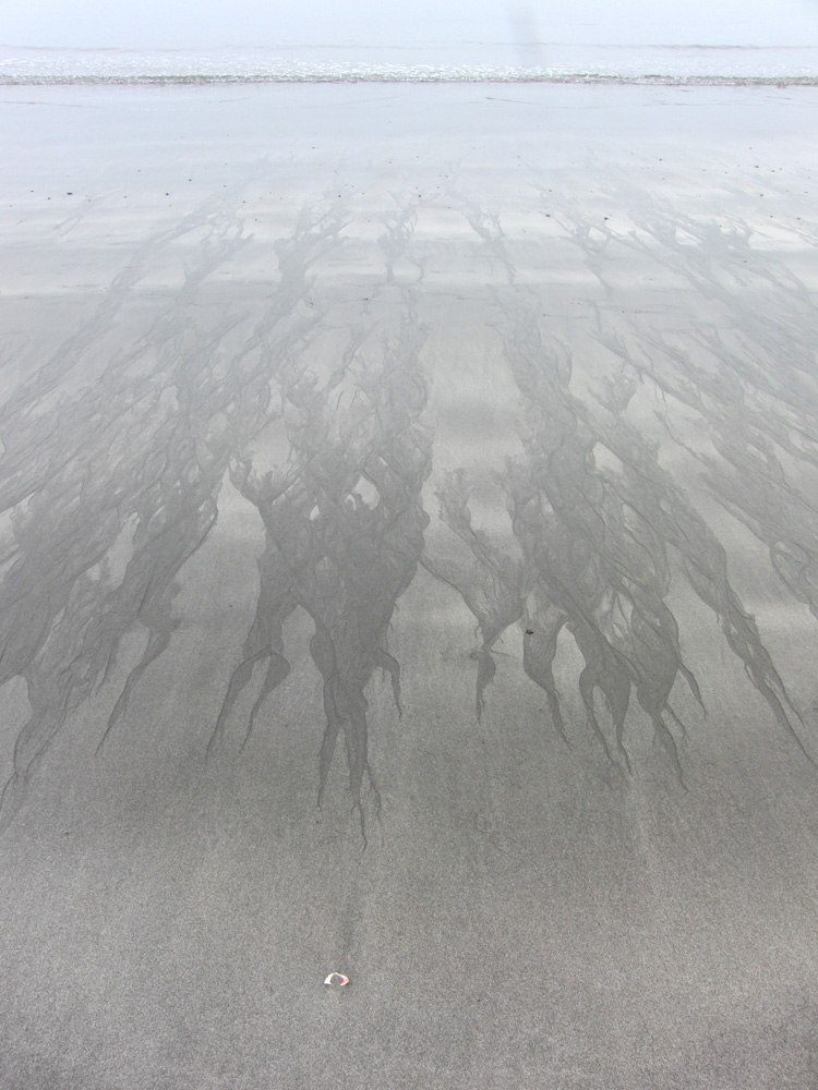 f0180529_285936.jpg