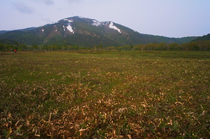 b0201230_2373770.jpg