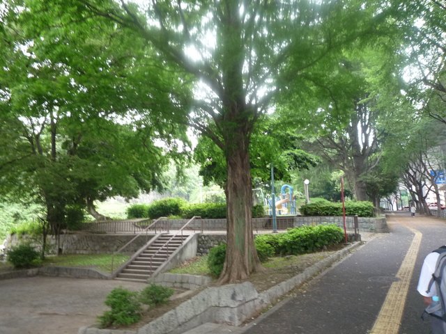 b0136931_21191755.jpg