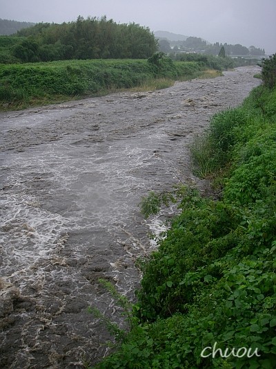 f0146531_005287.jpg