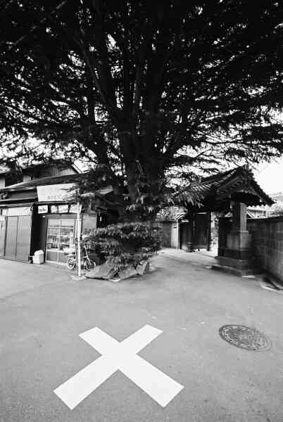 e0016732_1983794.jpg
