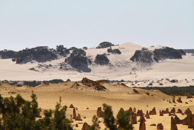 e0064133_21163163.jpg
