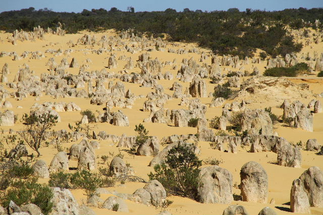 e0064133_211636100.jpg