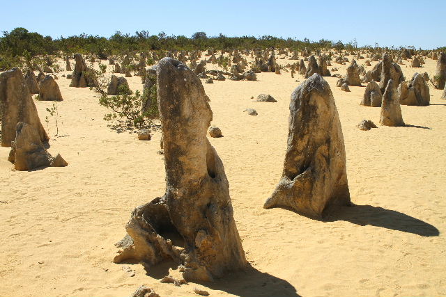 e0064133_2116428.jpg