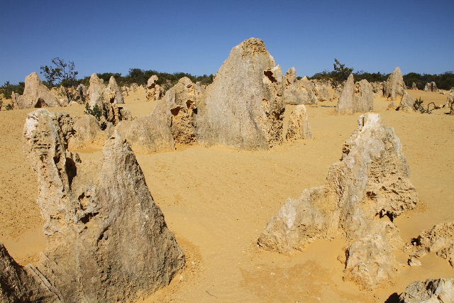 e0064133_21164650.jpg