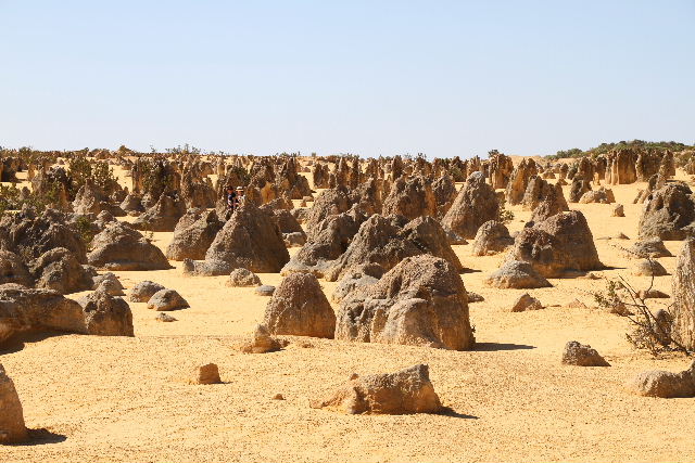 e0064133_21165718.jpg