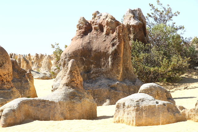 e0064133_2116934.jpg