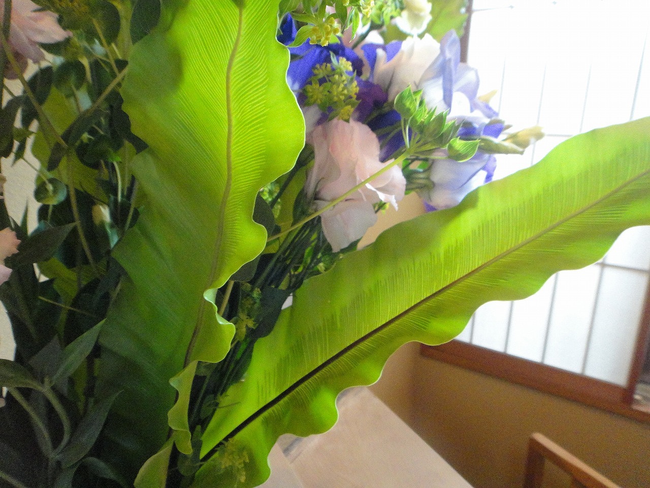 f0208737_844415.jpg