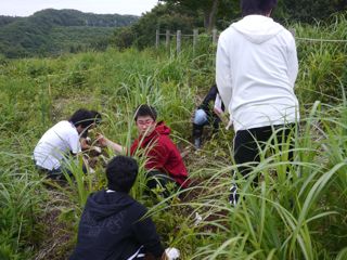 d0081650_07995.jpg