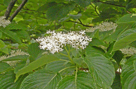 a0001354_1813344.jpg