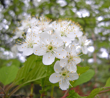 a0001354_1831195.jpg