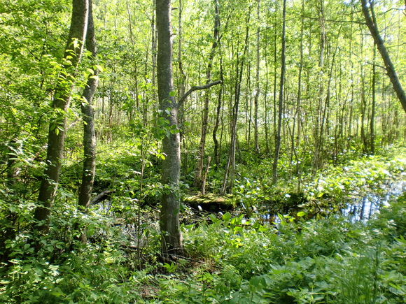 e0200659_2302421.jpg