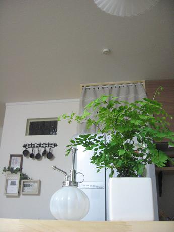 f0191259_22283175.jpg