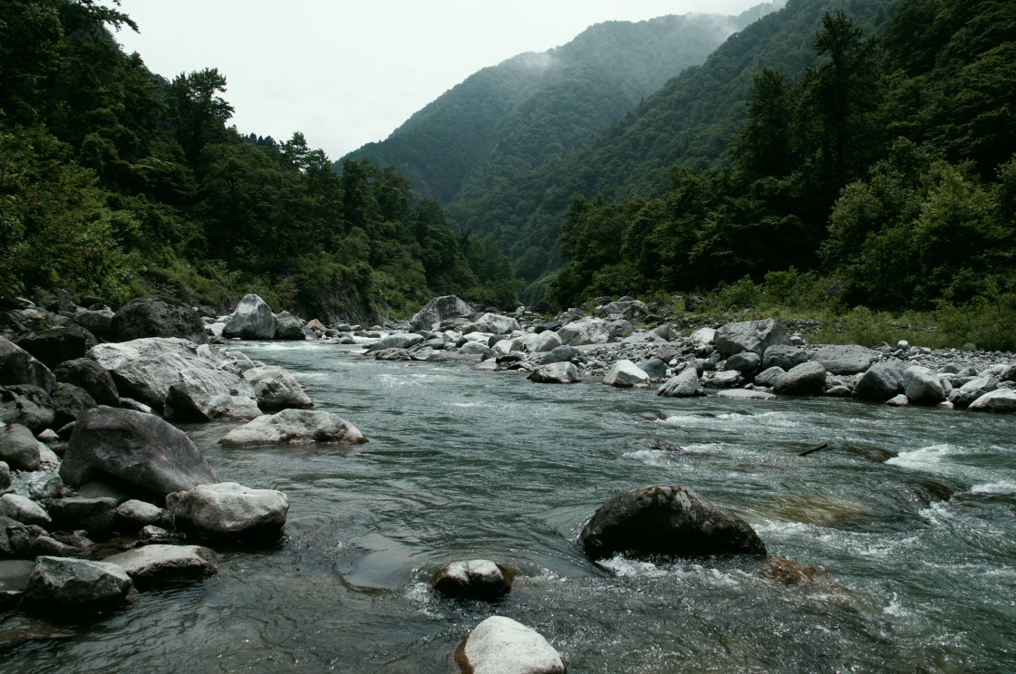 a0196565_2113677.jpg