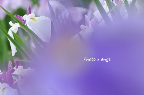 a0212365_064263.jpg