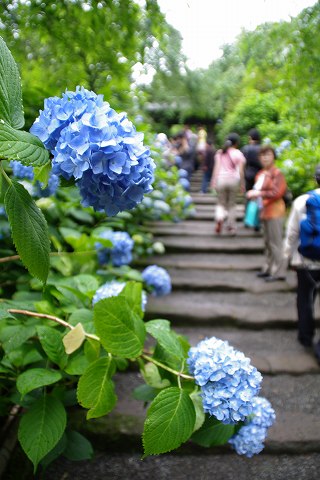 e0045768_22472130.jpg