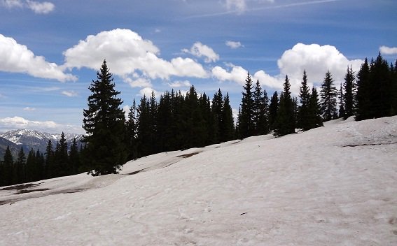c0194469_123058.jpg