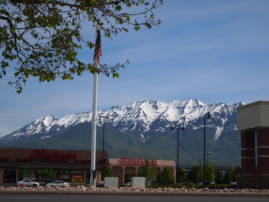 e0169470_326260.jpg