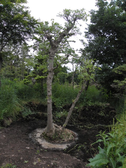 d0134473_1934404.jpg