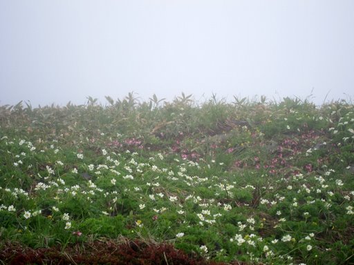 f0054075_22294050.jpg