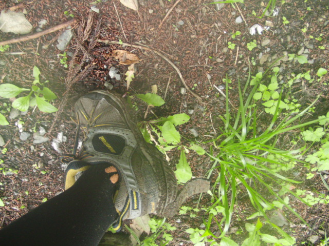 c0206177_17275294.jpg