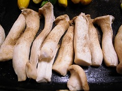 a0003089_20475296.jpg