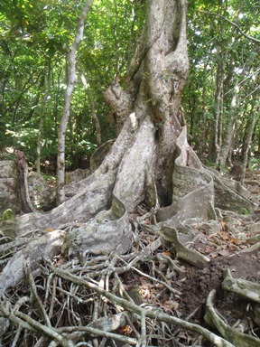 c0018489_0513055.jpg