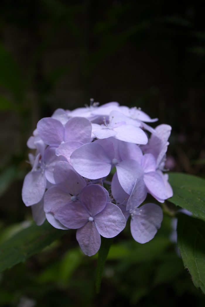 c0143989_15243455.jpg